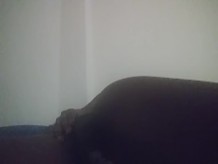Hora de acostarse