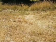 Public Woodland Follar / Chupar