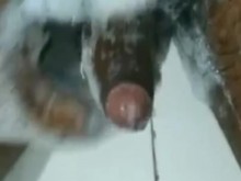 Desi chico mostrando polla negra en el baño