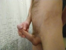 Paja rapida
