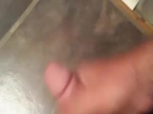 autofoto